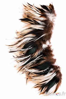Hahnenkreuz Badger - 10-15 cm - natur